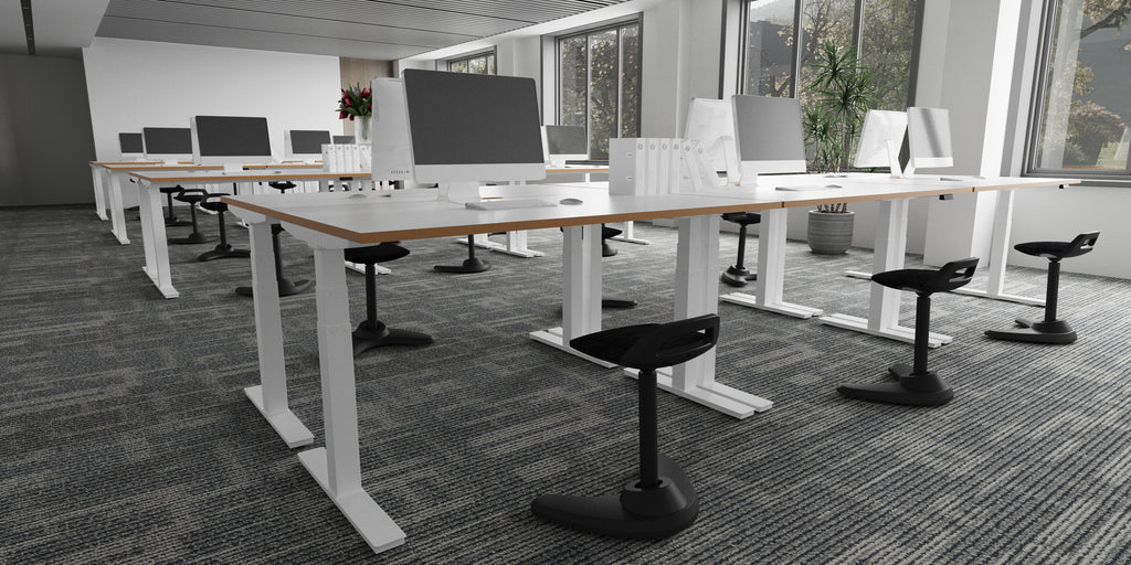 Style Shot Office 1