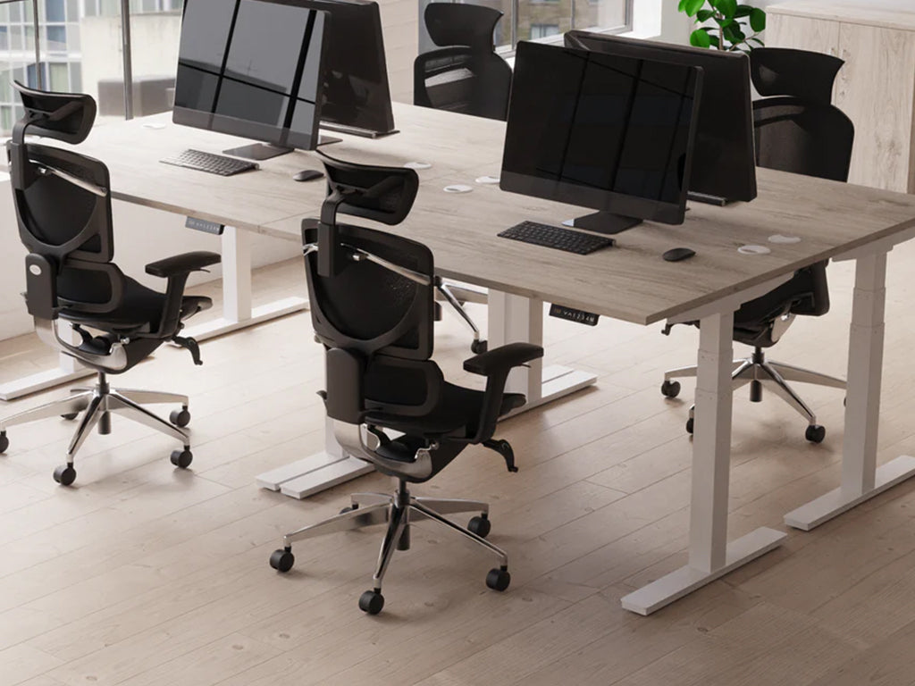 Style Shot Office 4