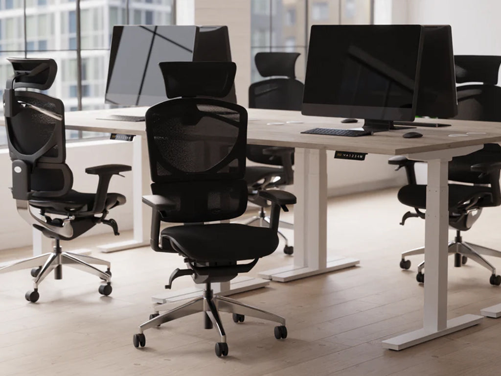 Style Shot Office 2