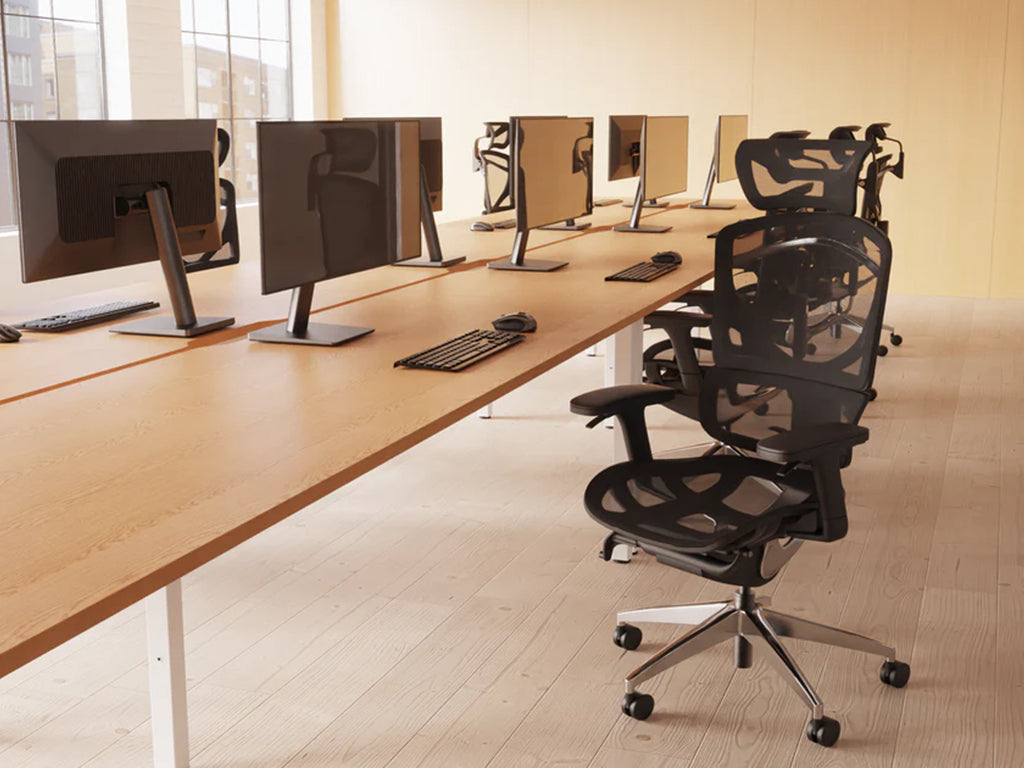 Style Shot Office 4