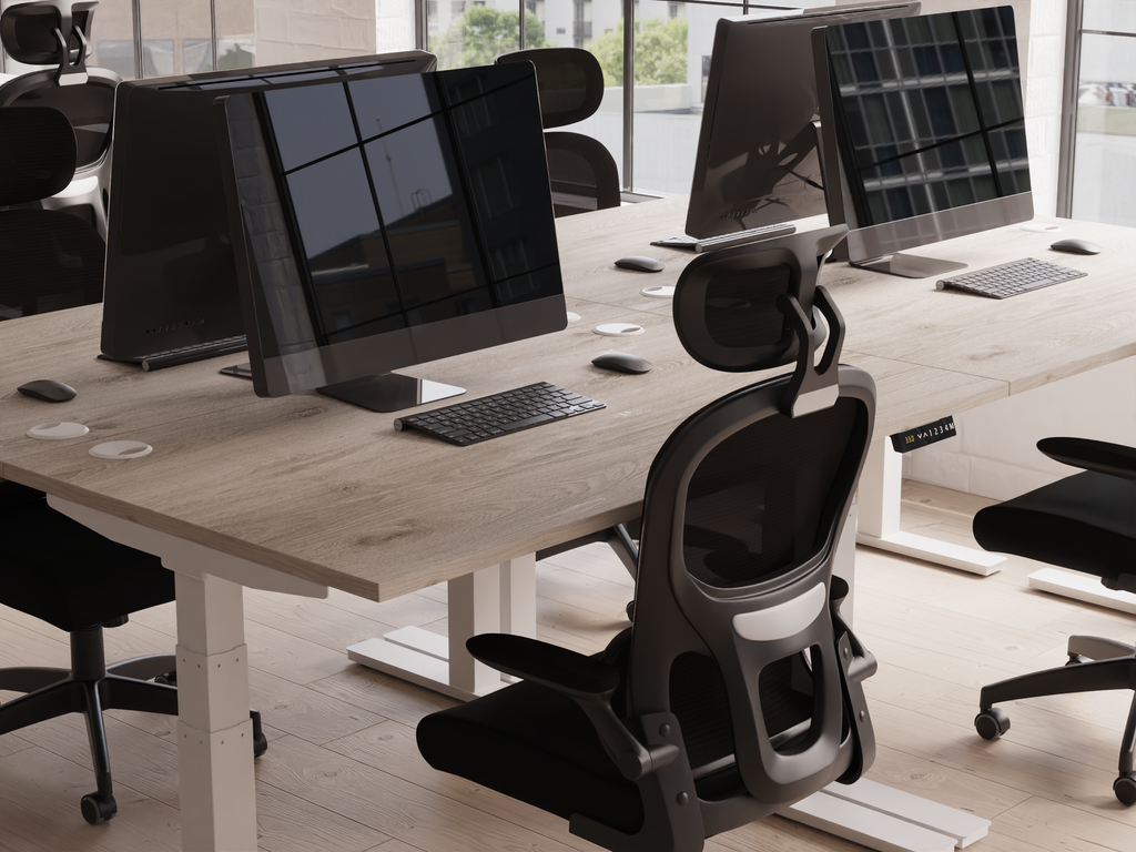 Style Shot Office 3