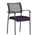  Bespoke Tansy Purple