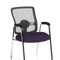  Bespoke Tansy Purple