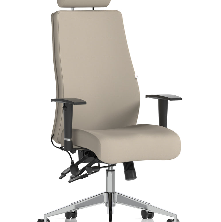 Onyx High Back Ergonomic Posture Chair with Height Adjustable Arms