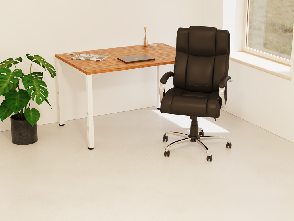 Style Shot Office 1