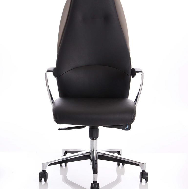 Mien High Back Leather Executive Office Chair