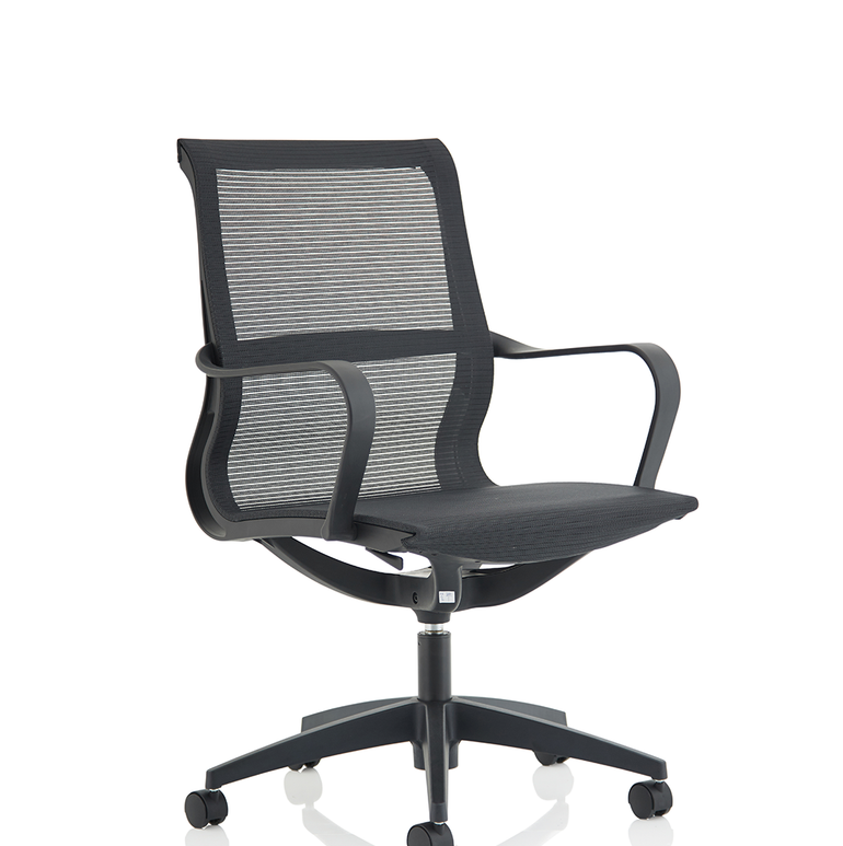 Lula Medium Mesh Back Executive Office Chair with Arms