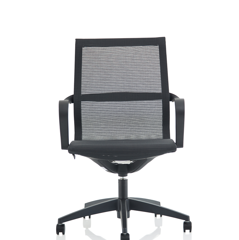 Lula Medium Mesh Back Executive Office Chair with Arms