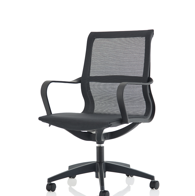 Lula Medium Mesh Back Executive Office Chair with Arms