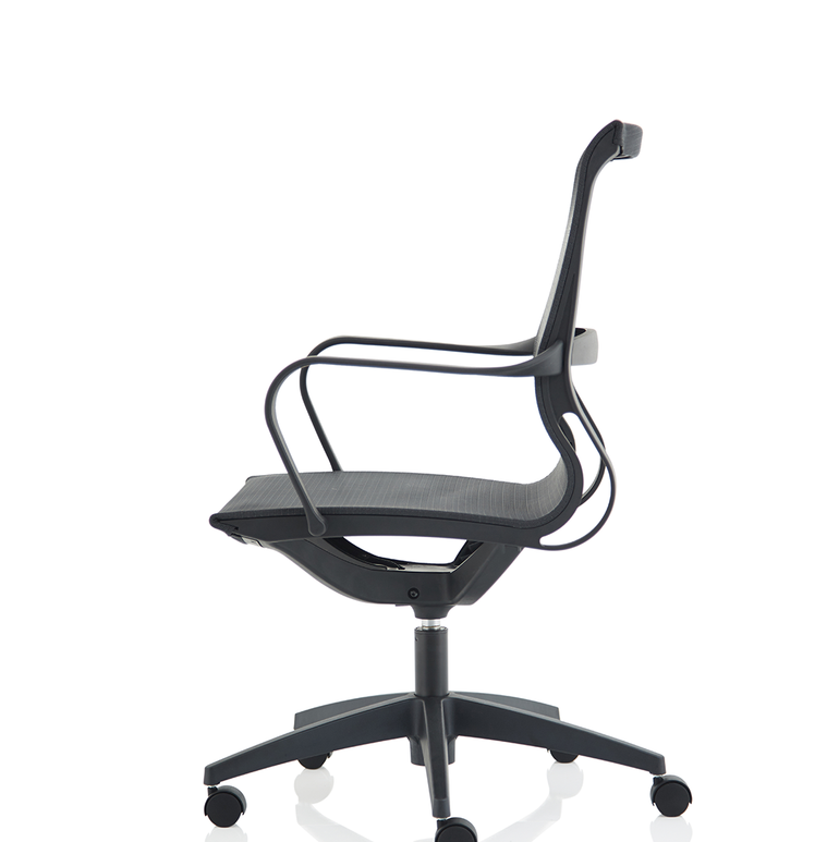 Lula Medium Mesh Back Executive Office Chair with Arms