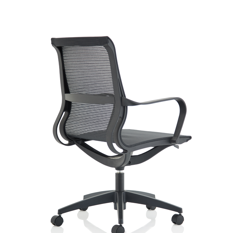 Lula Medium Mesh Back Executive Office Chair with Arms