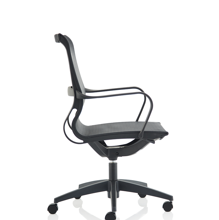 Lula Medium Mesh Back Executive Office Chair with Arms