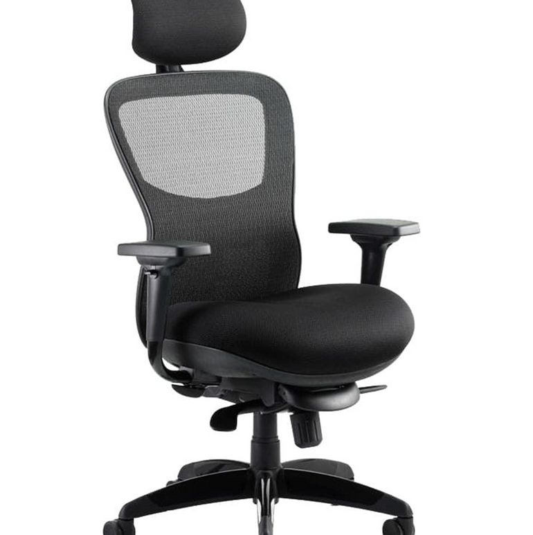 Stealth Shadow High Mesh Back Ergonomic Posture Chair with Arms