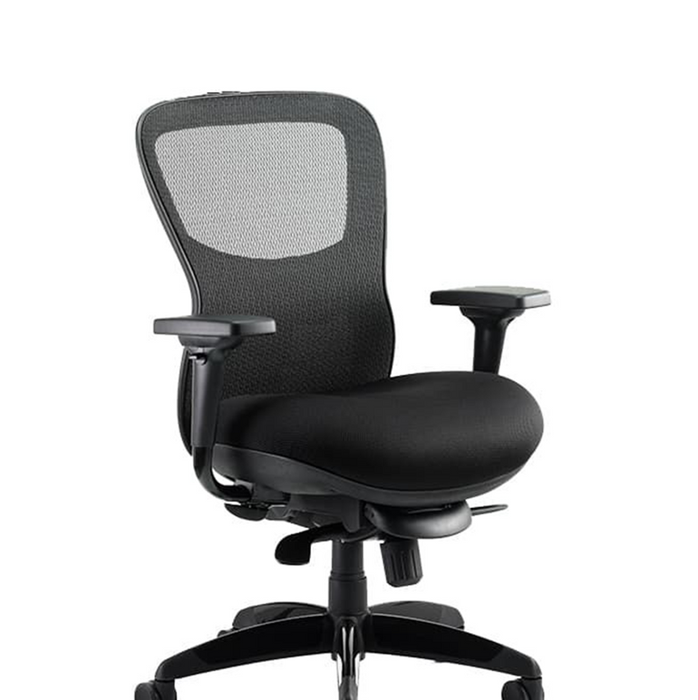 Stealth Shadow High Mesh Back Ergonomic Posture Chair with Arms